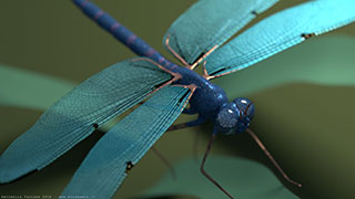Modellazione animazione rendering 3D: ali libellula