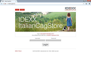 Realizzazione siti web Torino: Italiancagstore, login