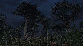 Modellazione animazione rendering 3D: bosco notte