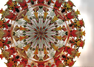 frattali 3D: mandala white