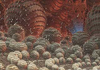 frattali 3D: impollination1