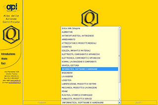 Realizzazione CD rom per API Torino - start