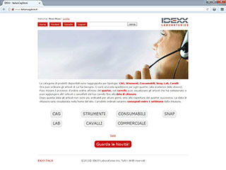 Realizzazione siti web Torino: Italiancagstore, categorie