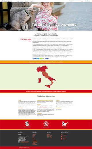 Realizzazione siti web Torino: malattiedeigatti, scheda