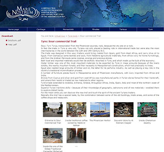 Realizzazione siti web Torino: Marenostrum 8