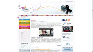 Realizzazione siti web Torino: Paralleli 4