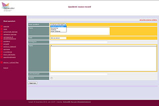 Realizzazione siti web Torino: Paralleli 7