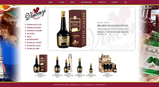 Realizzazione siti web Torino: Distillerie Vincenzi, Bicerin