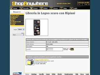 Realizzazione siti web Torino: Shopanywhere 2