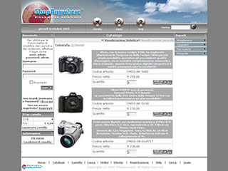 Realizzazione siti web Torino: Shopanywhere 4