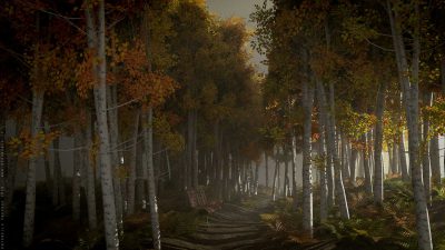 Bosco di betulle – Blender