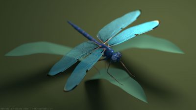 Libellula – Blender