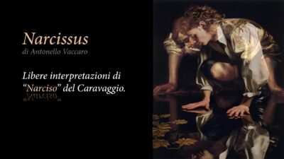 Narcissus