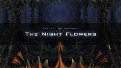 The nigth flowers